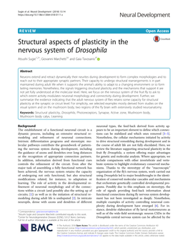 VIEW Open Access Structural Aspects of Plasticity in the Nervous System of Drosophila Atsushi Sugie1,2†, Giovanni Marchetti3† and Gaia Tavosanis3*