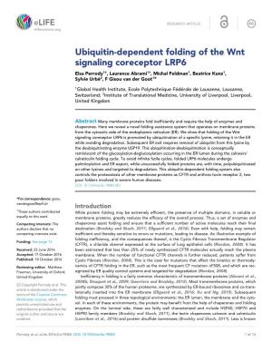 Ubiquitin-Dependent Folding of the Wnt Signaling Coreceptor LRP6