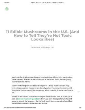 11 Edible Mushrooms in the U.S. (And How to Tell They're Not Toxic