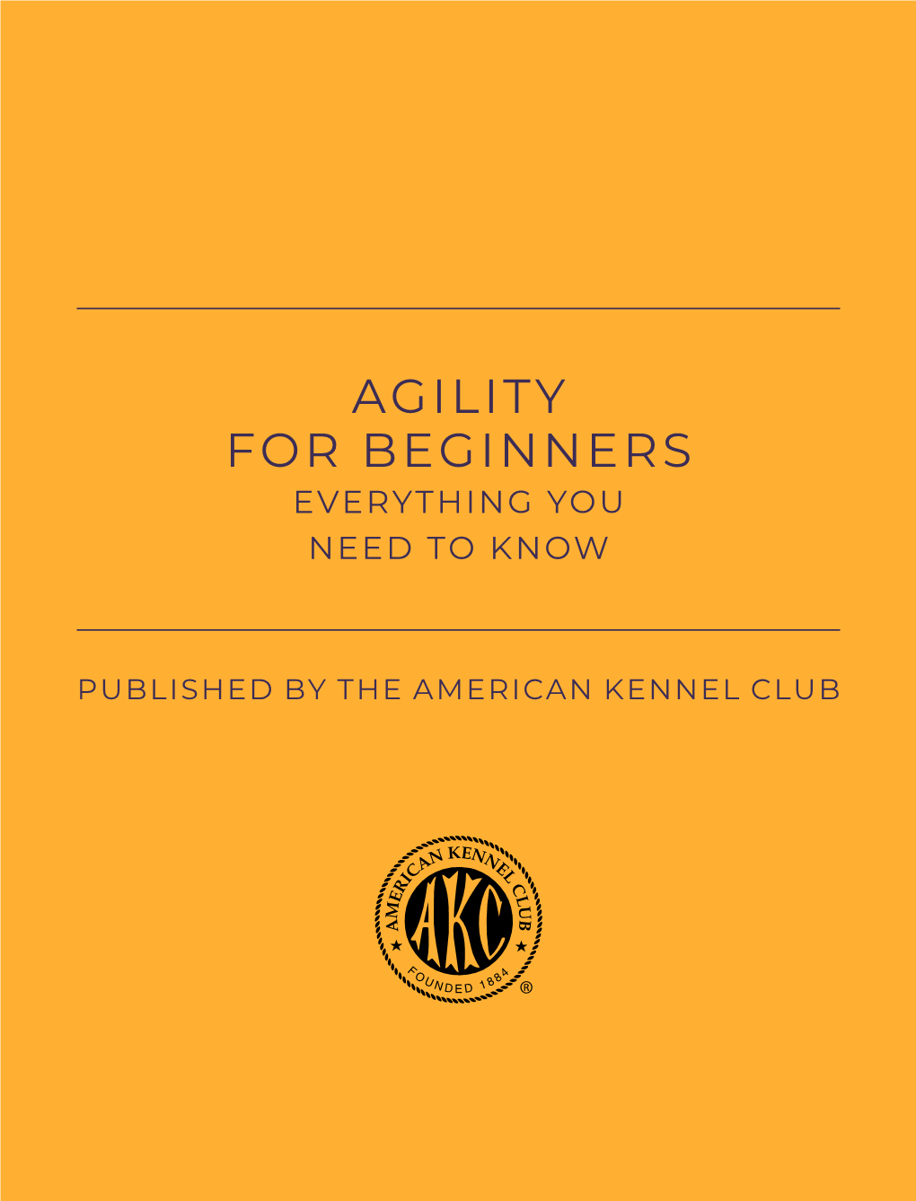 Agility for Beginners Everything You Need to Know