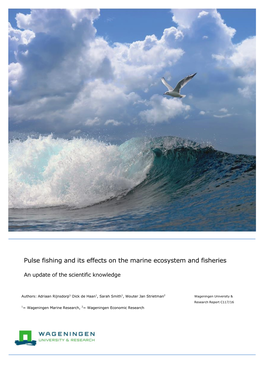 Pulse Fishing and Its Effects on the Marine Ecosystem and Fisheries