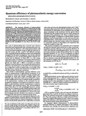 Quantum Efficiency of Photosynthetic Energy Conversion (Photosynthesis/Photophosphorylation/Ferredoxin) RICHARD K