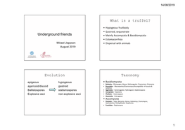 Underground Friends • Mainly Ascomycota & Basidiomycota • Ectomycorrhiza Mikael Jeppson • Dispersal with Animals August 2019