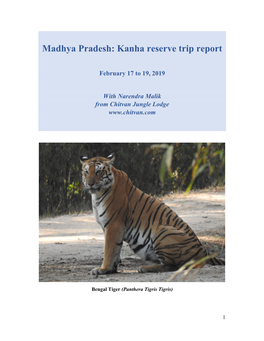 Kanha Reserve Trip Report
