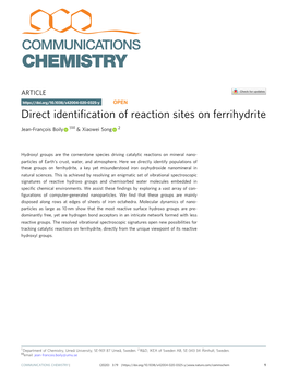Direct Identification of Reaction Sites on Ferrihydrite