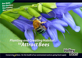 Planting and Creating Habitat Toattract Bees