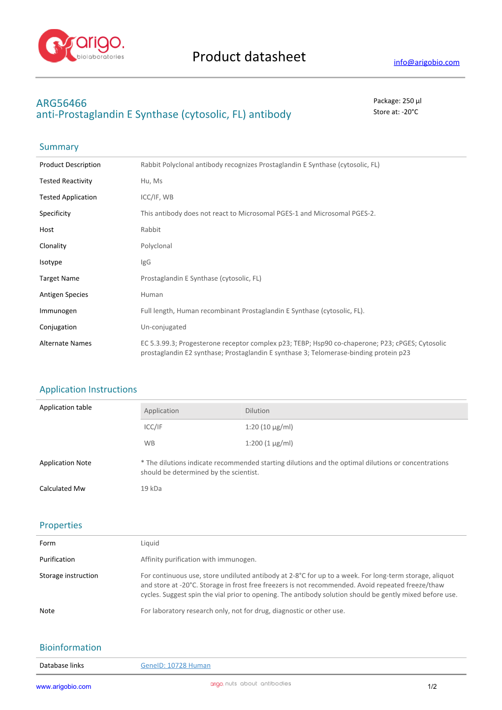 Anti-Prostaglandin E Synthase (Cytosolic, FL) Antibody (ARG56466)