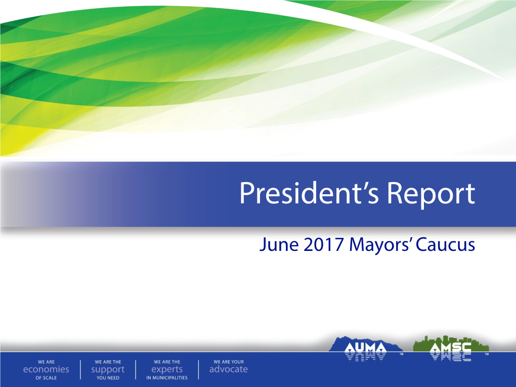 President's Report