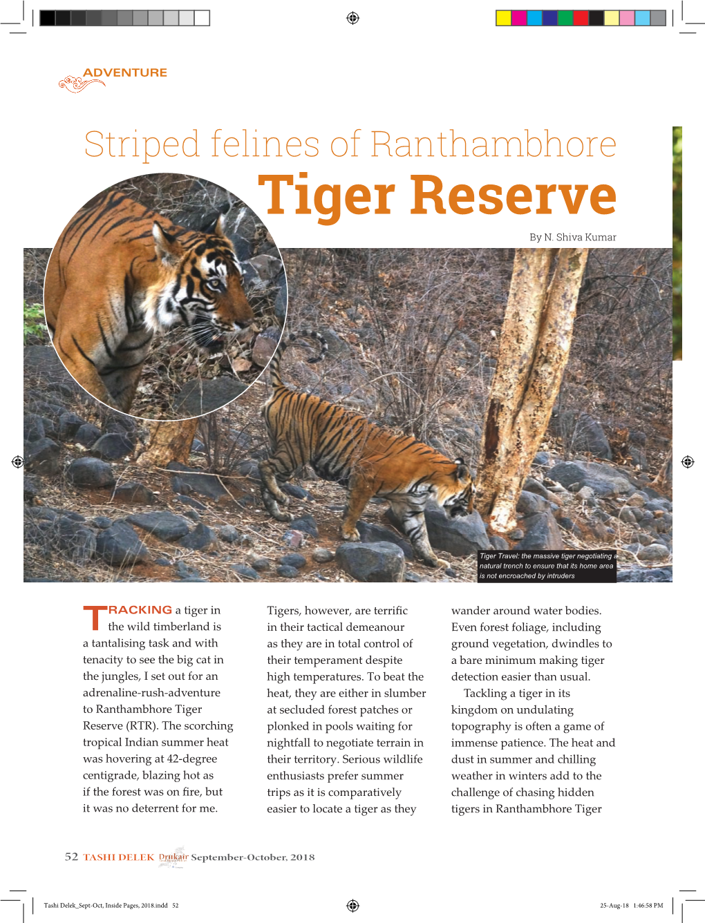 Tiger Reserve by N