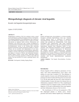 Histopathologic Diagnosis of Chronic Viral Hepatitis