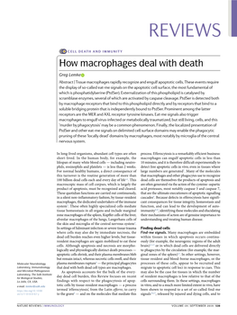 How Macrophages Deal with Death