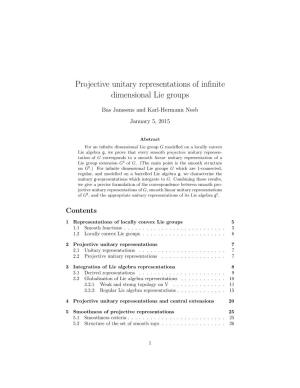 Projective Unitary Representations of Infinite Dimensional Lie Groups