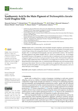 Xanthurenic Acid Is the Main Pigment of Trichonephila Clavata Gold Dragline Silk