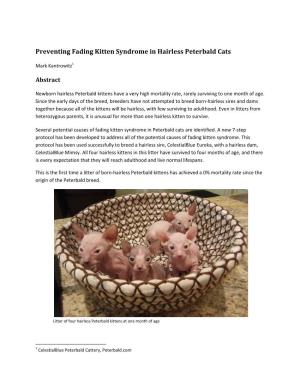 Preventing Fading Kitten Syndrome in Hairless Peterbald Cats