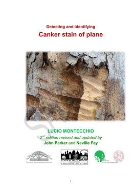 Detecting and Identifying Canker Stain of Plane