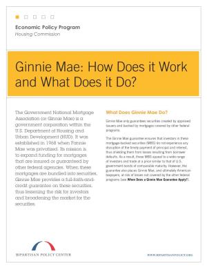 Ginnie Mae: How Does It Work and What Does It Do?