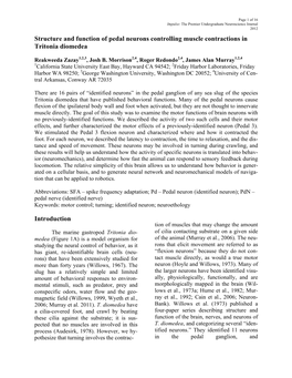 Structure and Function of Pedal Neurons Controlling Muscle Contractions in Tritonia Diomedea