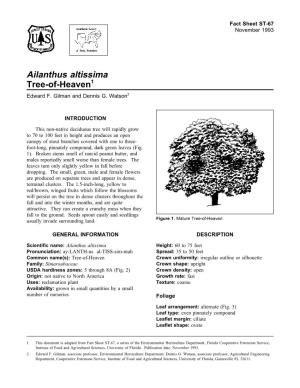 Ailanthus Altissima Tree-Of-Heaven1 Edward F