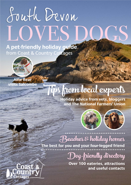 Beaches & Holiday Homes Dog-Friendly Directory