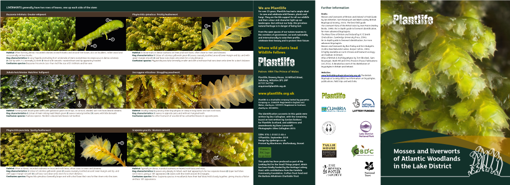 Atlantic Woodlands in the Lake District Mosses & Liverworts