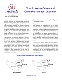 Bloat in Young Calves and Other Pre-Ruminant Livestock