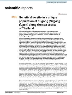 Genetic Diversity in a Unique Population of Dugong