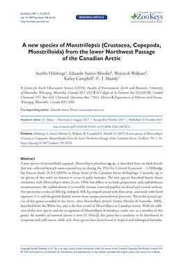 A New Species of Monstrillopsis (Crustacea, Copepoda, Monstrilloida) from the Lower Northwest Passage of the Canadian Arctic