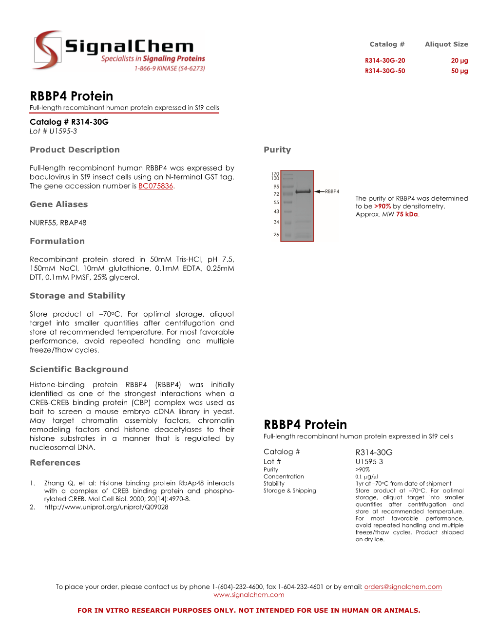 RBBP4 Protein Full-Length Recombinant Human Protein Expressed in Sf9 Cells