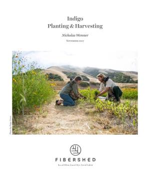 Indigo Planting & Harvesting