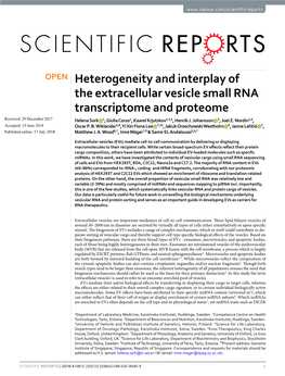 Heterogeneity and Interplay of the Extracellular Vesicle Small RNA