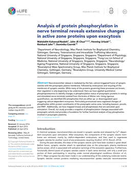 Analysis of Protein Phosphorylation in Nerve Terminal Reveals Extensive