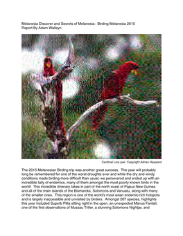 Birding Melanesia 2015 Report by Adam Walleyn