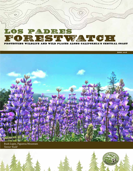 Los Padres Forestwatch Protecting Wildlife and Wild Places Along California's Central Coast