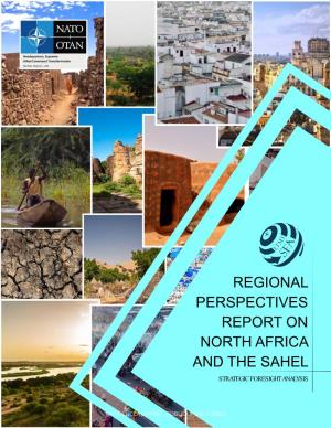 Regional Perspectives Report on North Africa and the Sahel Strategic Foresight Analysis