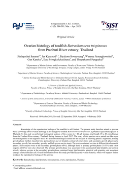 Ovarian Histology of Toadfish Batrachomoeus Trispinosus from Pranburi River Estuary, Thailand