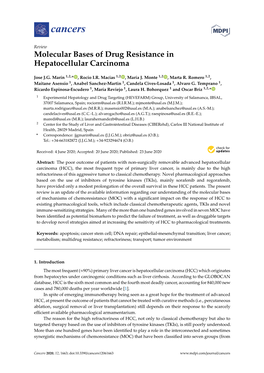 Molecular Bases of Drug Resistance in Hepatocellular Carcinoma