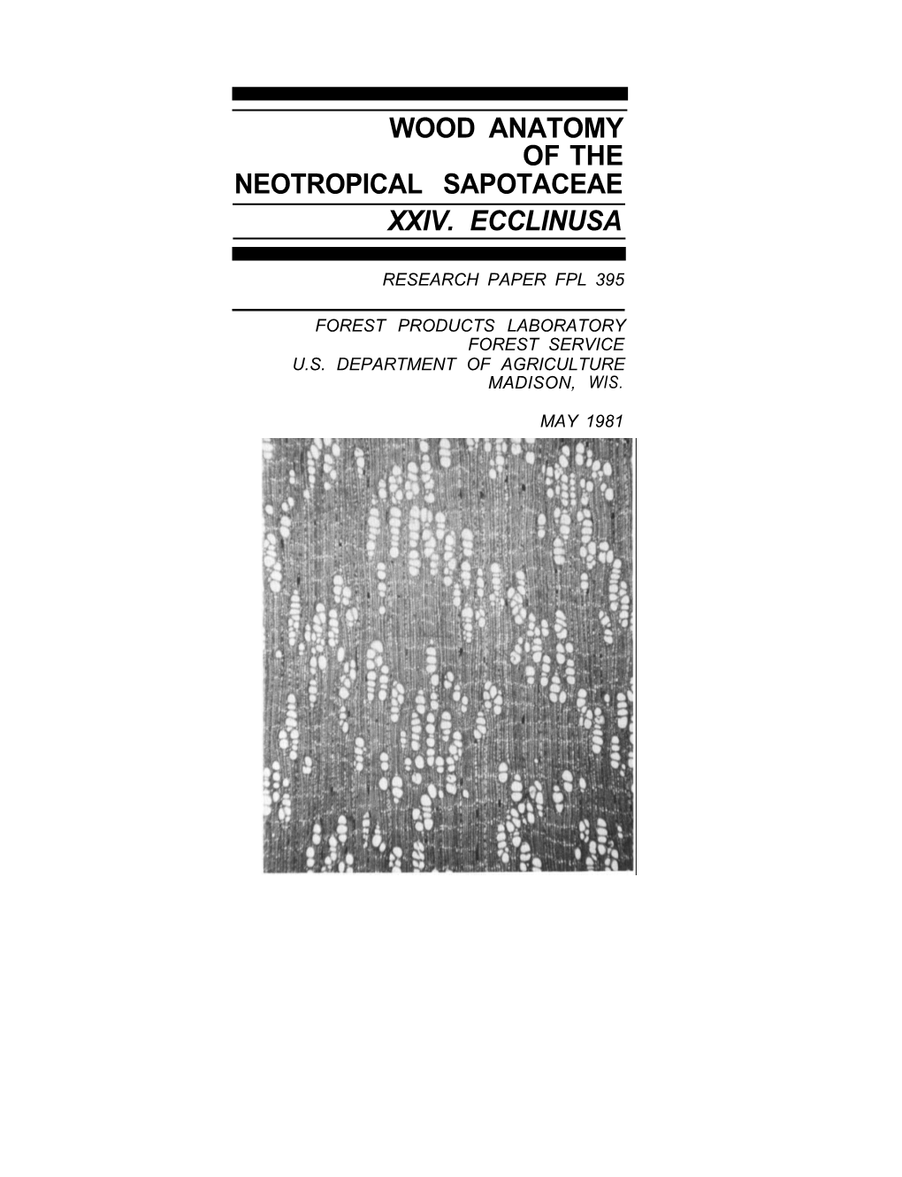 Wood Anatomy of the Neotropical Sapotaceae Xxiv. Ecclinusa