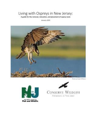 Osprey Nest Guidance