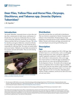 Deer Flies, Yellow Flies and Horse Flies, Chrysops, Diachlorus, and Tabanus Spp