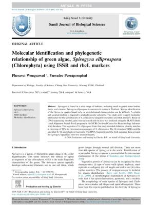 Molecular Identification and Phylogenetic Relationship of Green Algae, Spirogyra Ellipsospora (Chlorophyta) Using ISSR and Rbcl
