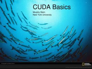 CUDA Basics Murphy Stein New York University