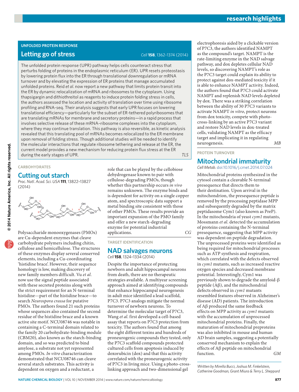 Unfolded Protein Response