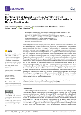 Identification of Tyrosyl Oleate As a Novel Olive Oil Lipophenol With