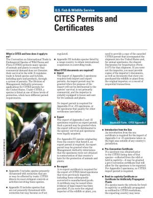 CITES Permits and Certificates