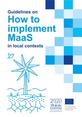 Guidelines on How to Implement Maas in Local Contexts