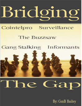 What Is Gang Stalking?