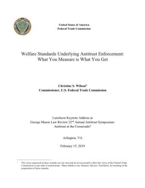 Welfare Standards Underlying Antitrust Enforcement: What You Measure Is What You Get