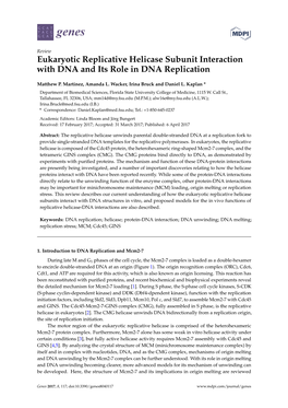 Eukaryotic Replicative Helicase Subunit Interaction with DNA and Its Role in DNA Replication