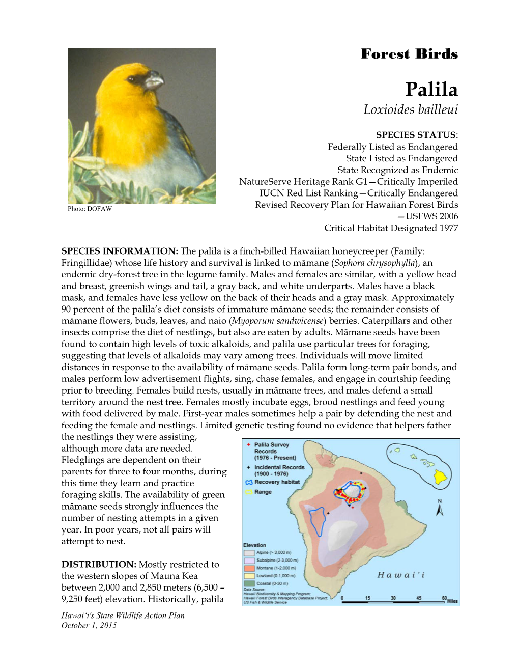 Palila Loxioides Bailleui