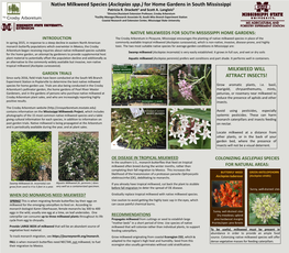 Native Milkweed Species (Asclepias Spp.) for Home Gardens in South Mississippi Patricia R